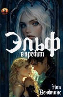 Обложка произведения Эльф в кредит