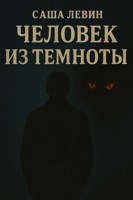 Обложка произведения Человек из темноты