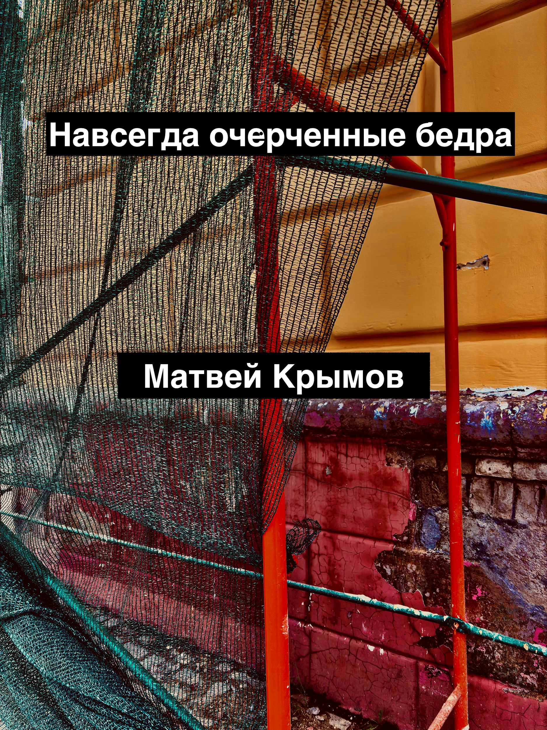 Обложка произведения Навсегда очерченные бедра