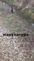 Обложка произведения Макулатура
