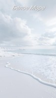 Обложка произведения Белое Море