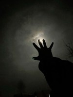 Обложка произведения Лунный свет