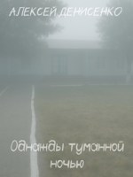 Обложка произведения Однажды туманной ночью
