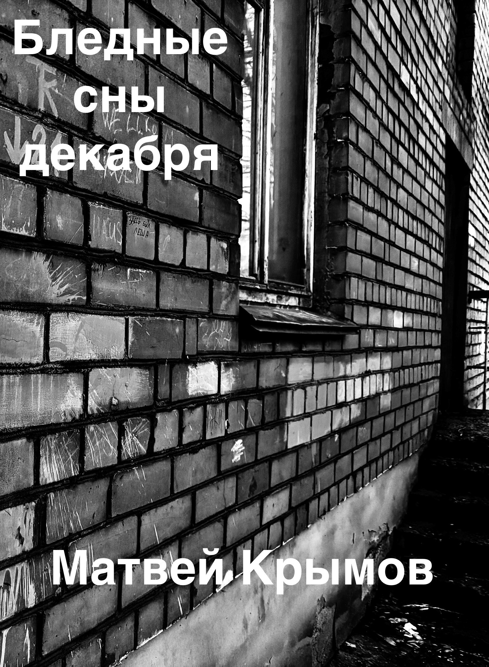 Обложка произведения Бледные сны декабря