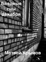 Обложка произведения Бледные сны декабря