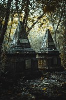 Обложка произведения О чем молчат могилы