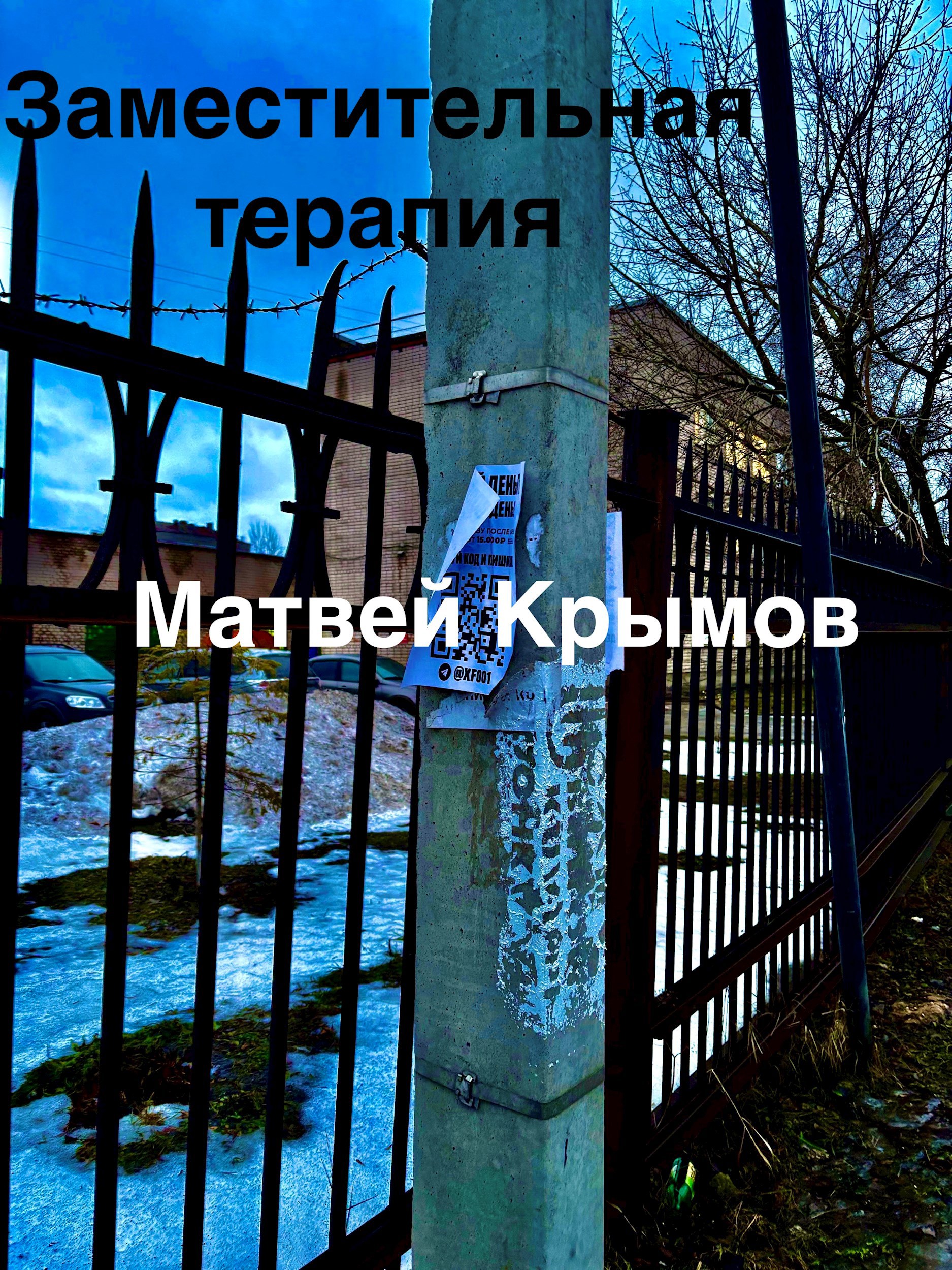 Обложка произведения Заместительная терапия