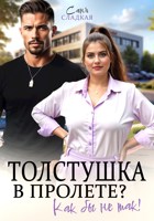 Обложка произведения Толстушка в пролете? Как бы не так!