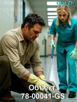 Обложка произведения Объект 78-00041-GS