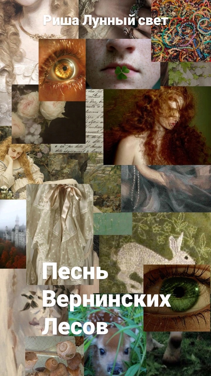 Обложка произведения Песнь вернинских лесов