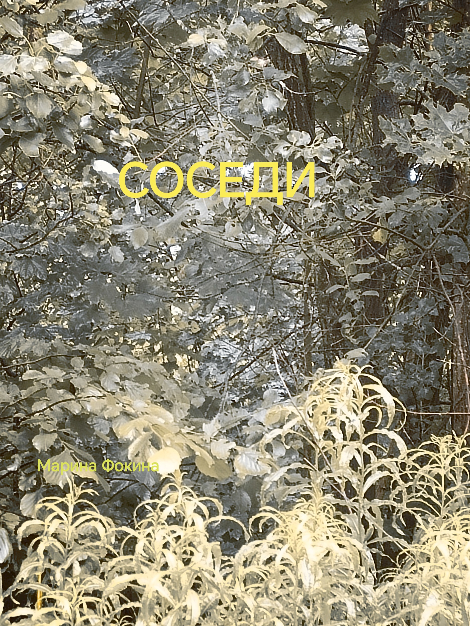 Обложка произведения Соседи