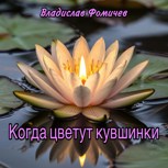Обложка произведения Когда цветут кувшинки