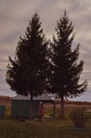 Обложка произведения Я вернусь