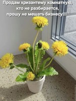 Обложка произведения Бизнес на сорняках