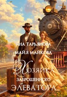 Обложка произведения Хозяйка заброшенного элеватора