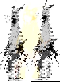 ГГ