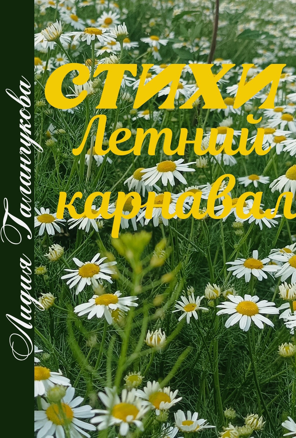 Обложка произведения Стихи. Летний карнавал