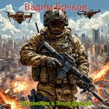 Обложка произведения Штурмовик в Эпоху Дронов