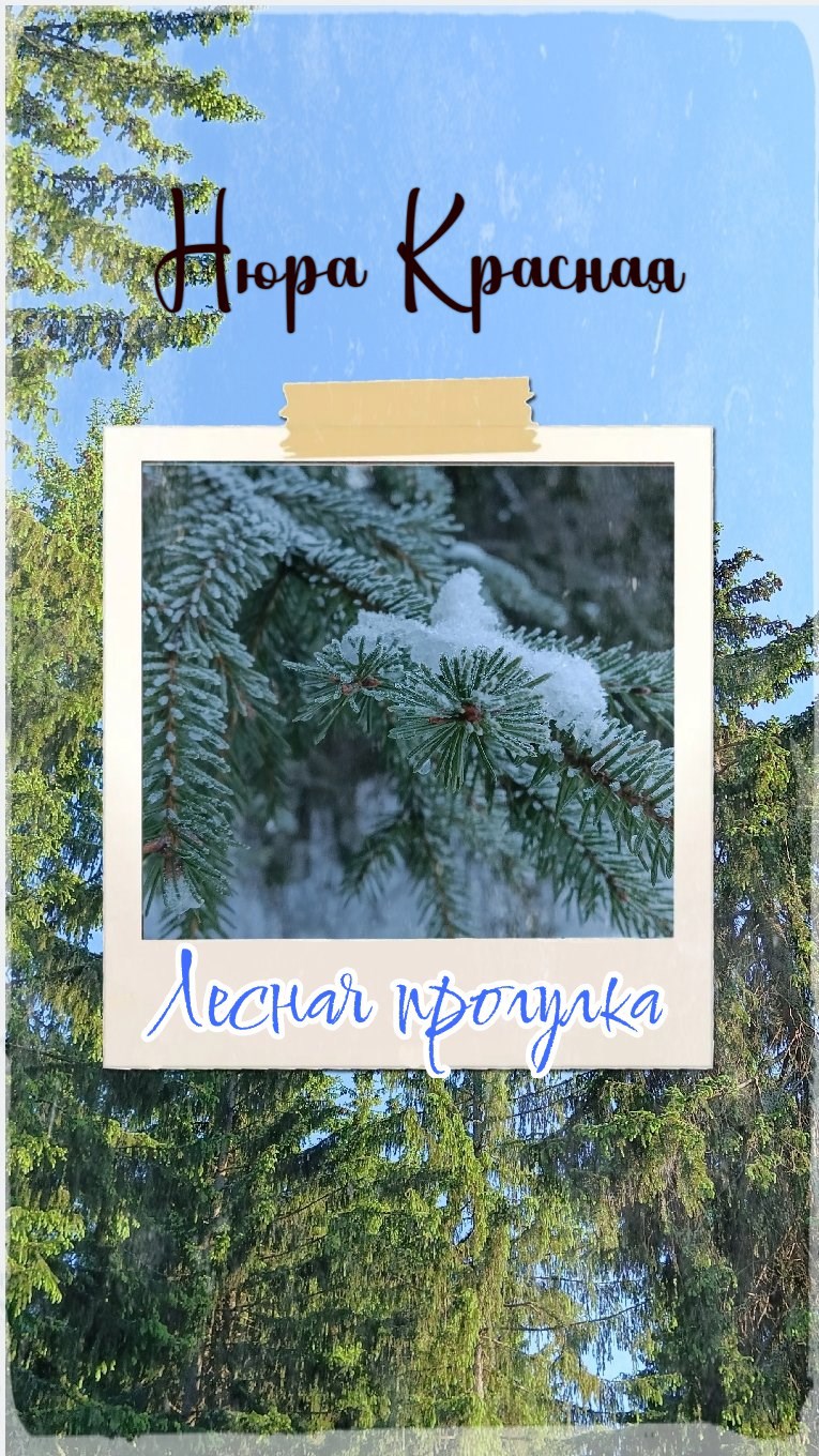 Обложка произведения Лесная прогулка