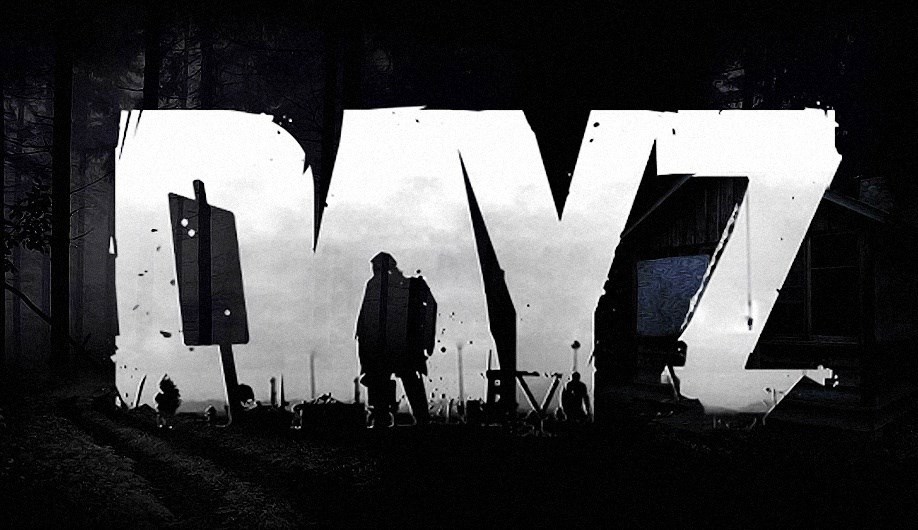 Обложка произведения DayZ исповедь новичка
