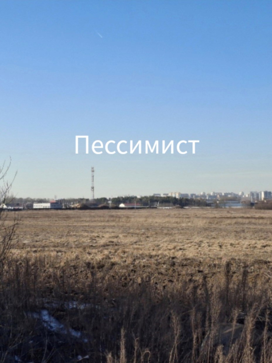 Обложка произведения Пессимист