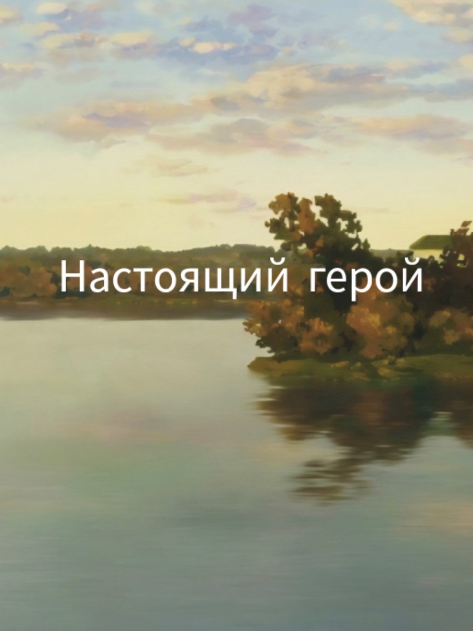 Обложка произведения Настоящий герой
