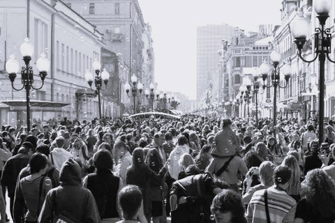 Обложка книги «Лизавета Синичкина»