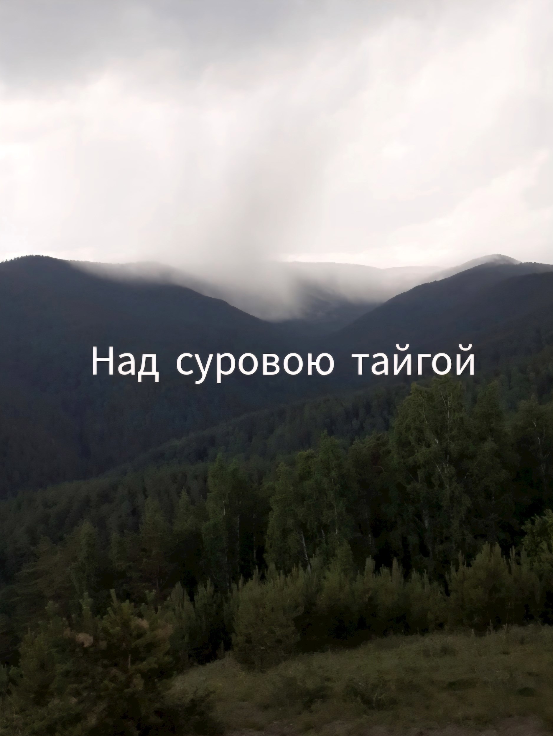 Обложка произведения Над суровою тайгой