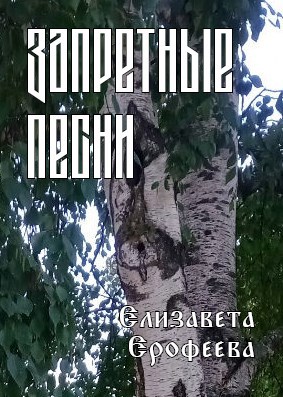 Обложка произведения Запретные песни
