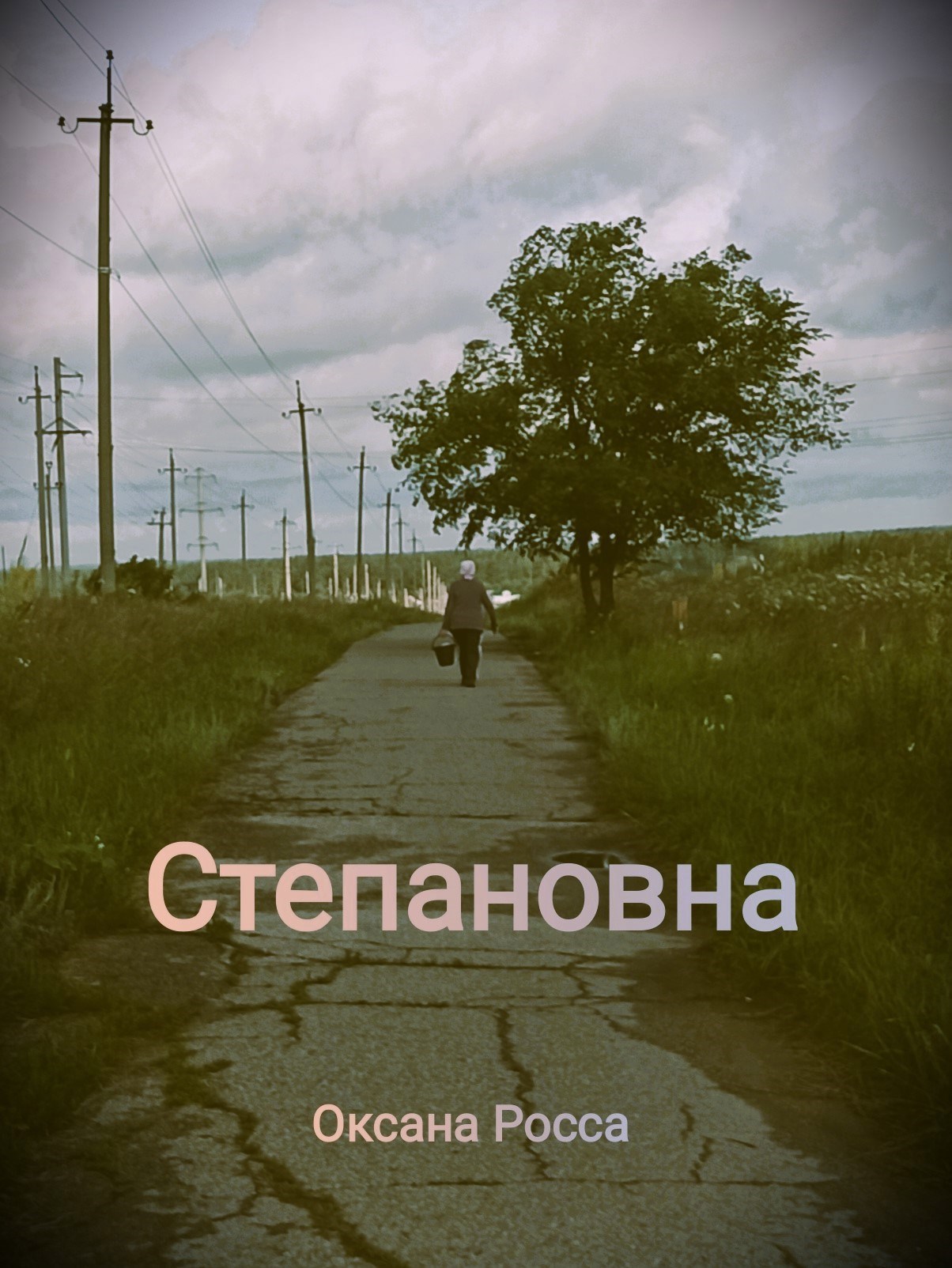 Обложка произведения Степановна