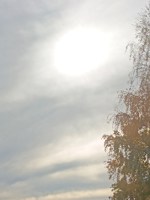 Обложка произведения Альмера