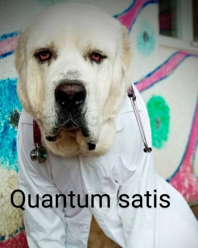 Обложка произведения Quantum satis.