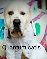 Обложка произведения Quantum satis.