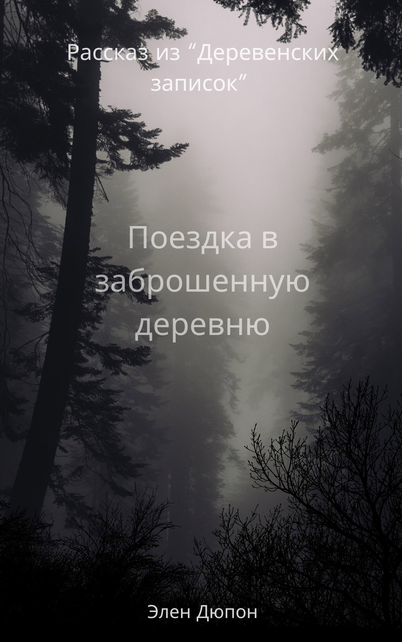 Обложка произведения Поездка в заброшенную деревню