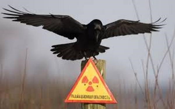 Обложка произведения Кыштымский