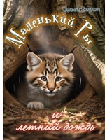 Обложка произведения Маленький Ры и летний дождь
