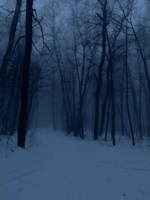 Обложка произведения Плата