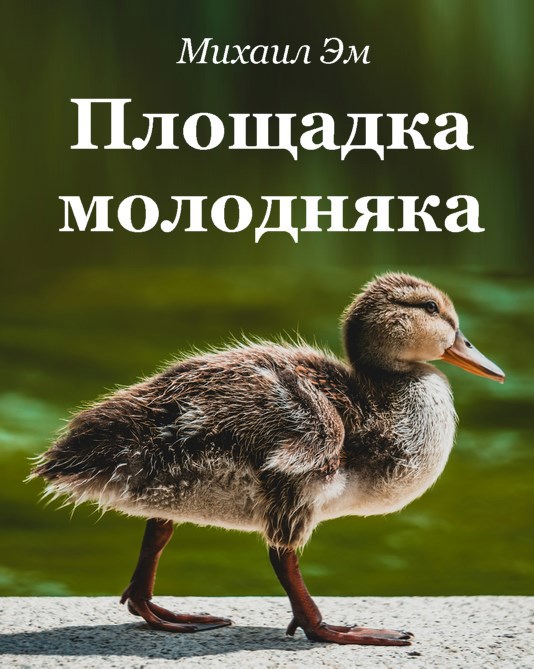 Обложка произведения Площадка молодняка