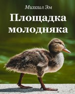 Обложка произведения Площадка молодняка