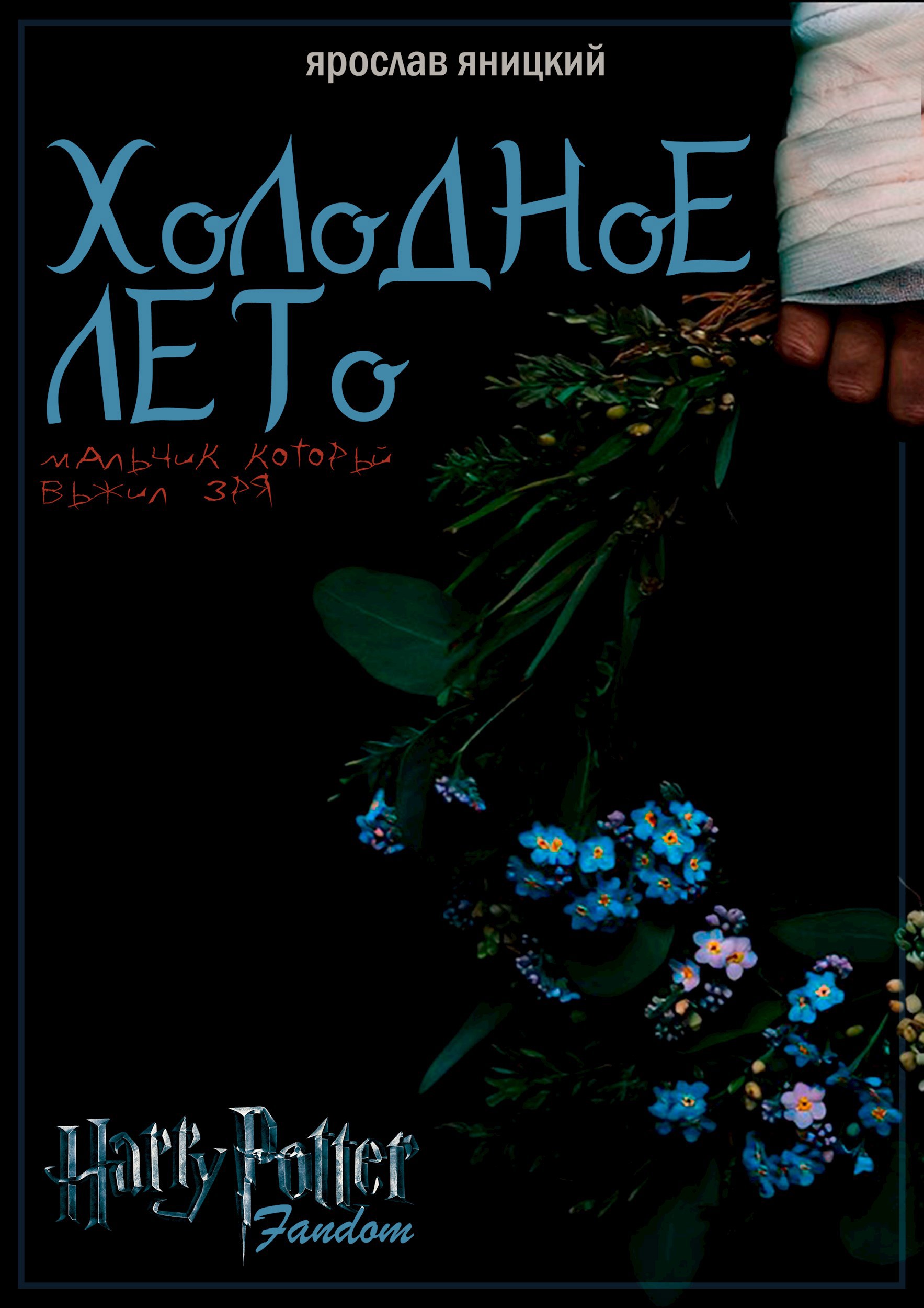 Обложка произведения Холодное Лето