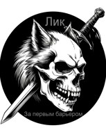 Обложка произведения За первым барьером