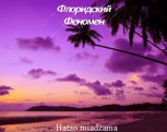 Обложка произведения Флоридский Феномен