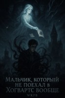 Обложка произведения Мальчик, который не поехал в Хогвартс вообще