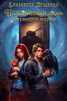 Обложка произведения Поломанный шкаф и немного магии