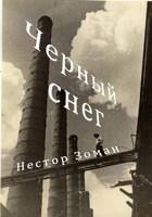 Обложка произведения Черный снег