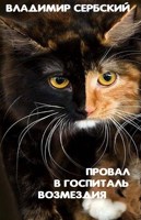 Обложка произведения Провал в госпиталь возмездия