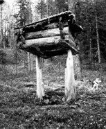 Обложка произведения Баба-Яга