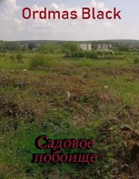 Обложка произведения Садовое побоище