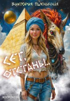 Обложка произведения Сет, отстань!