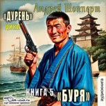 Обложка произведения Дурень. Книга пятая. Буря